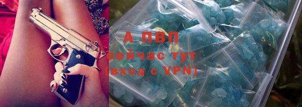 дмт Лиски