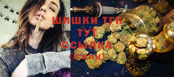 ГАЛЛЮЦИНОГЕННЫЕ ГРИБЫ Липки