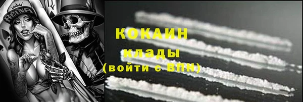дмт Лиски