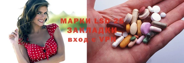 ГАЛЛЮЦИНОГЕННЫЕ ГРИБЫ Липки