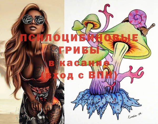 дмт Лиски