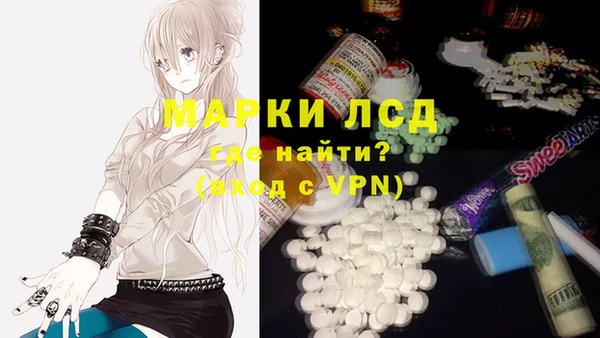 ГАЛЛЮЦИНОГЕННЫЕ ГРИБЫ Липки