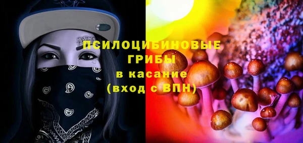 ГАЛЛЮЦИНОГЕННЫЕ ГРИБЫ Липки
