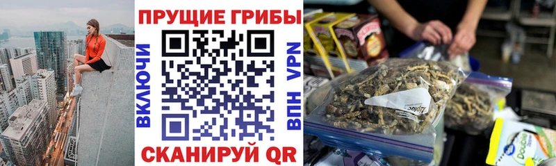 Галлюциногенные грибы мухоморы  Сухой Лог 